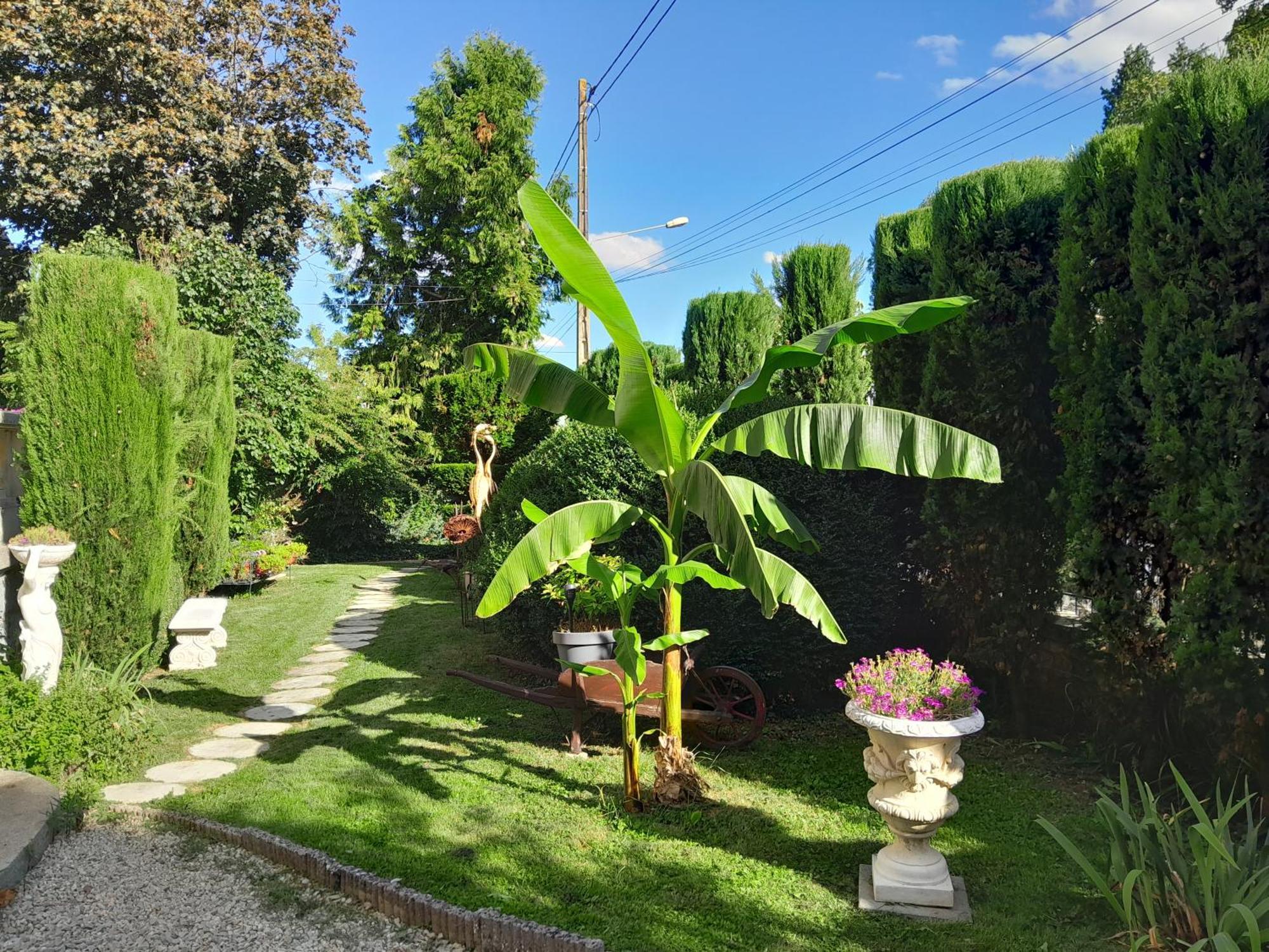 Le Madrigal Panzió Mamers Kültér fotó